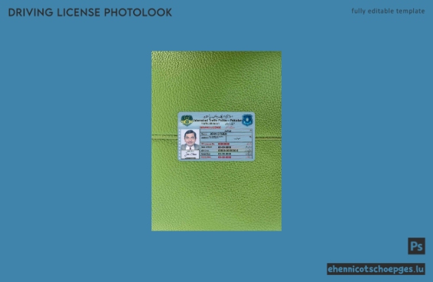 Pakistan Islamabad Führerscheinfoto – Beispielvorschau